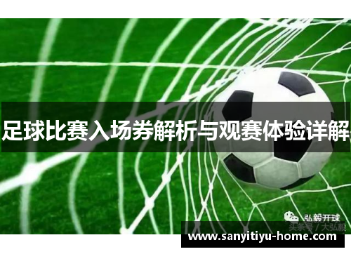 足球比赛入场券解析与观赛体验详解